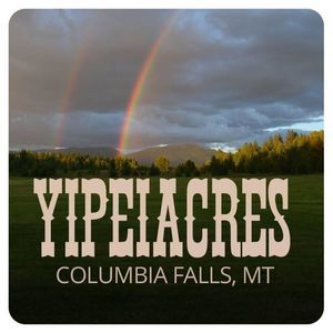 Meet your Posher, Robin